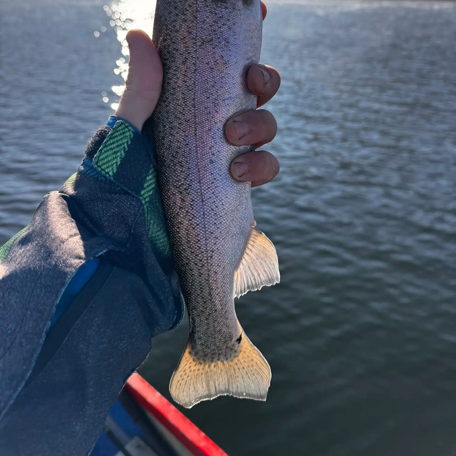 10+ Deer Creek Fishing