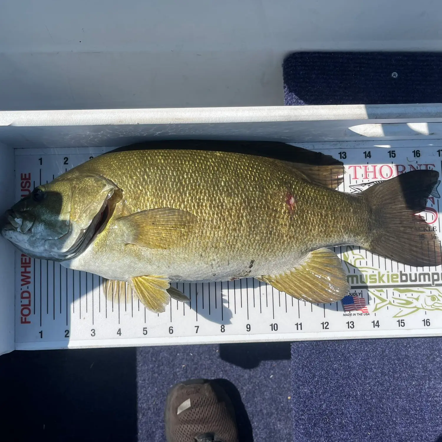 ᐅ Munuscong Lake fishing reports🎣• Sault Ste. Marie, MI (United States ...