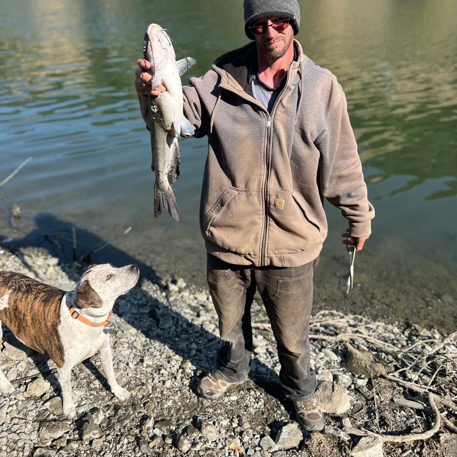 ᐅ Lake Mendocino fishing reports🎣• Ukiah, CA (United States) fishing