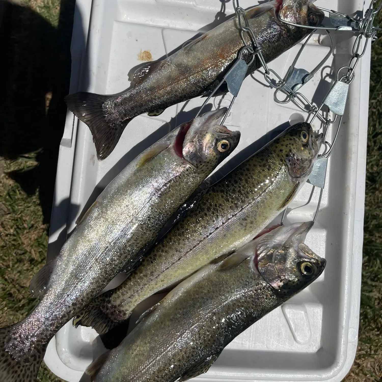 ᐅ Lake Fulmor fishing reports🎣• Valle Vista, CA (United States) fishing