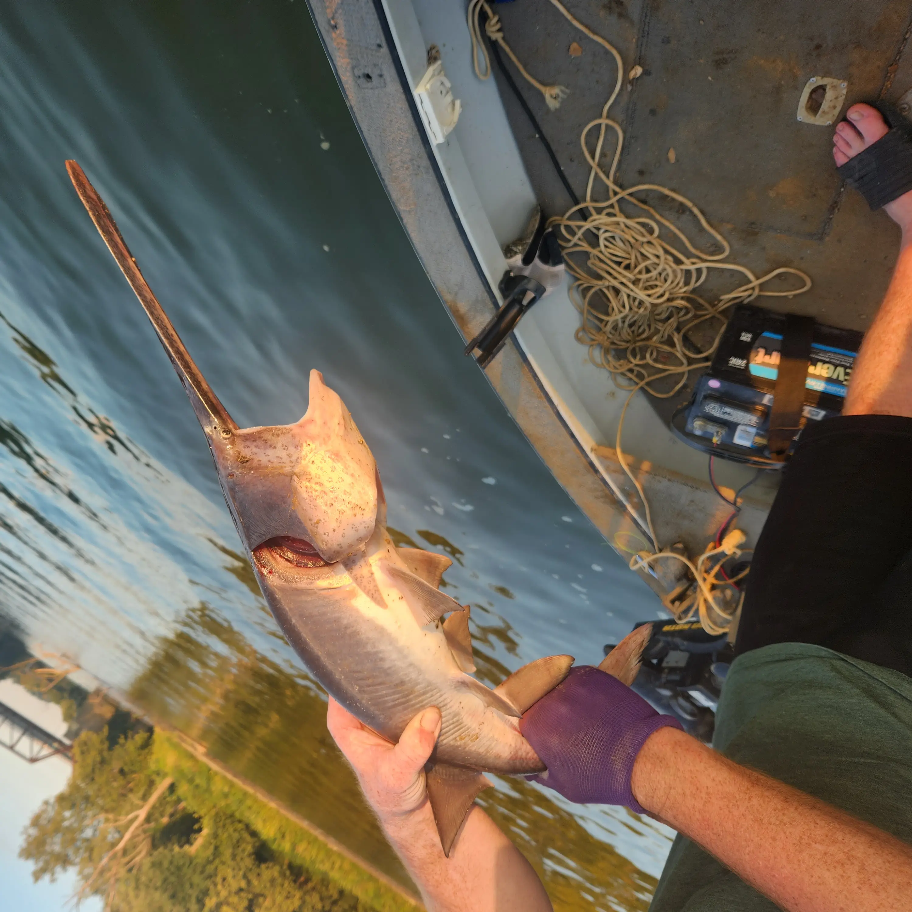 Salt River Fishing Report - WorldCast Anglers