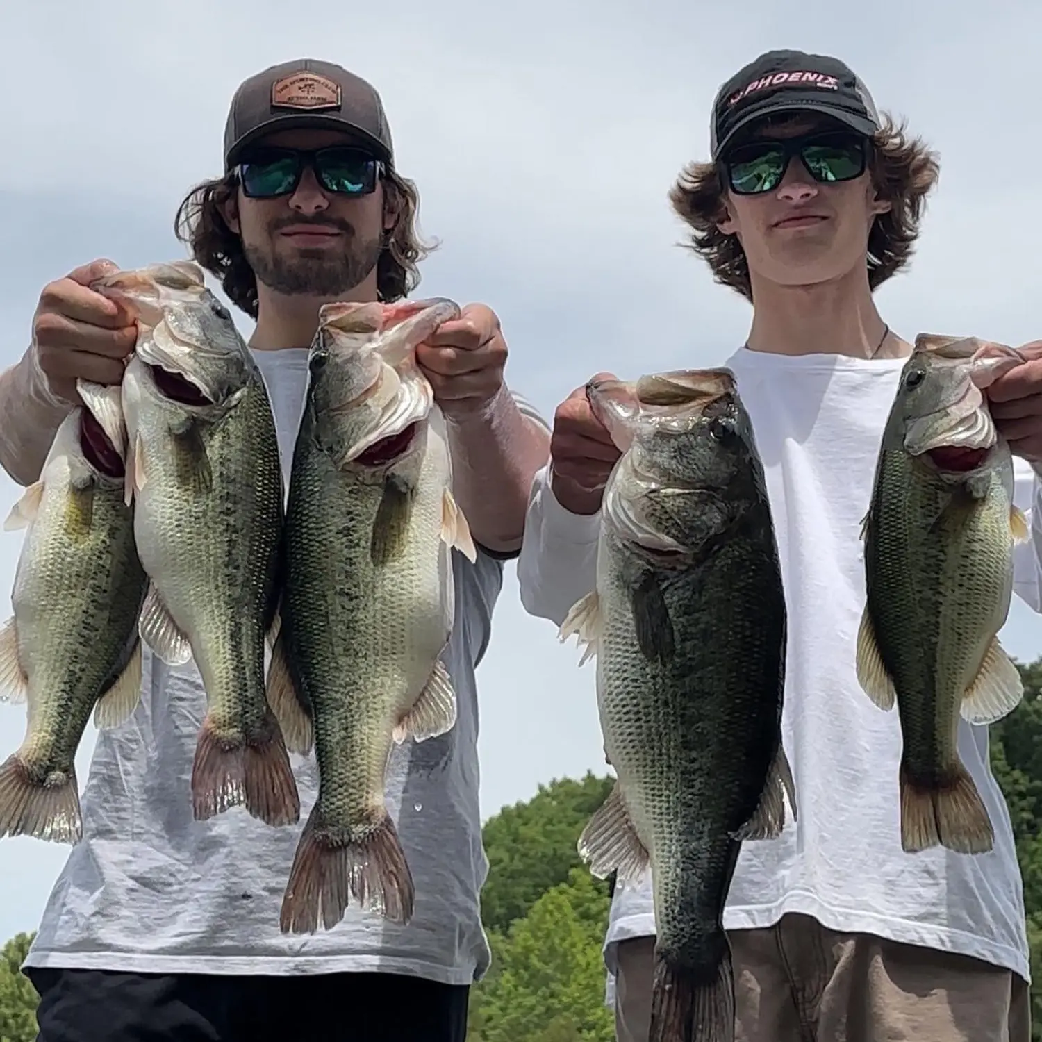 ᐅ Taylorsville Lake fishing reports🎣• Shelbyville, KY (United States