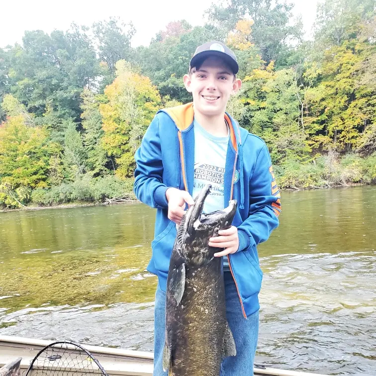 REPORT – FEENSTRA GUIDE SERVICE Muskegon River Fishing Report