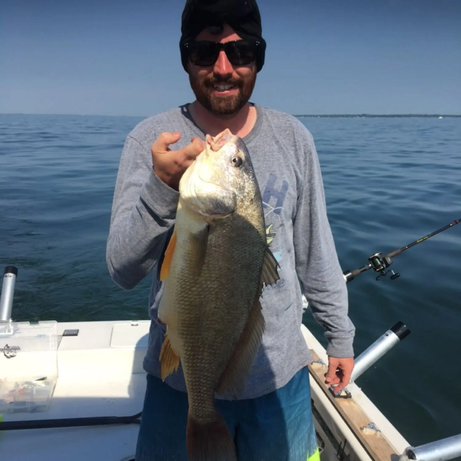 Fishing reports, best baits and forecast for fishing in Sandusky Bay