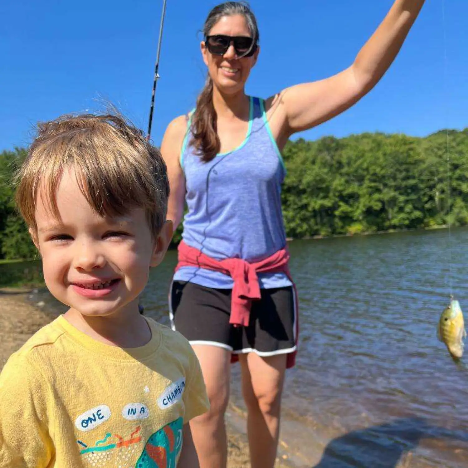 Fishing reports, best baits and forecast for fishing in Nystrom Pond State