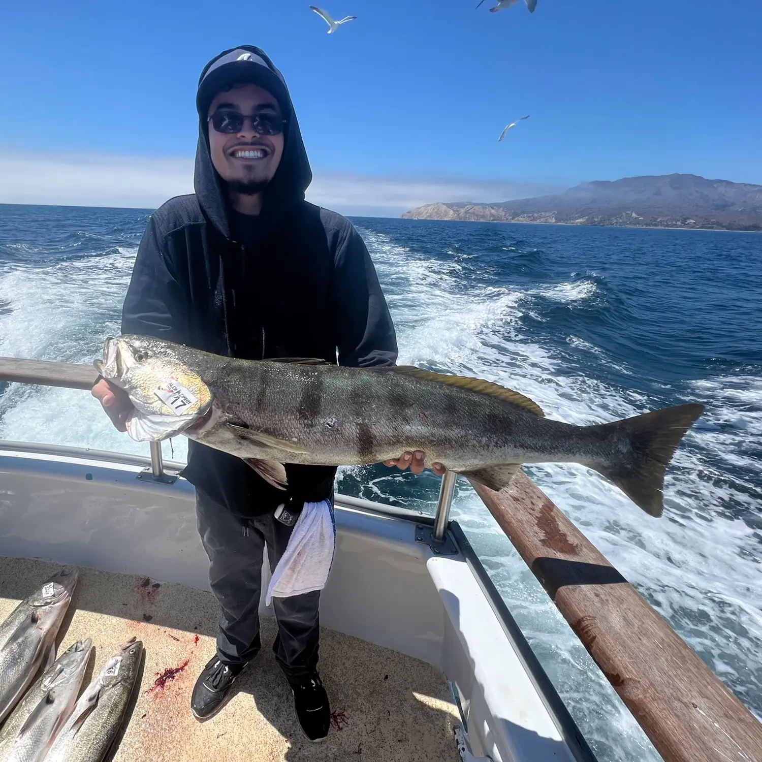 Channel Islands Sportfishing - Channel Islands Harbor