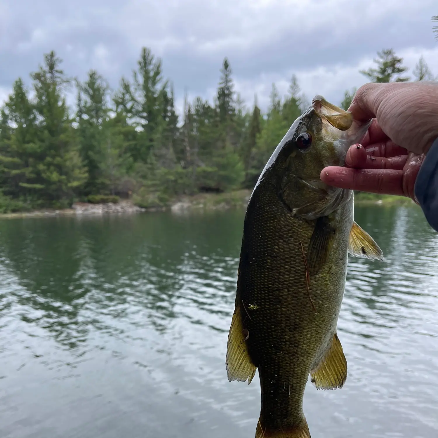 Crawford Lake fishing report