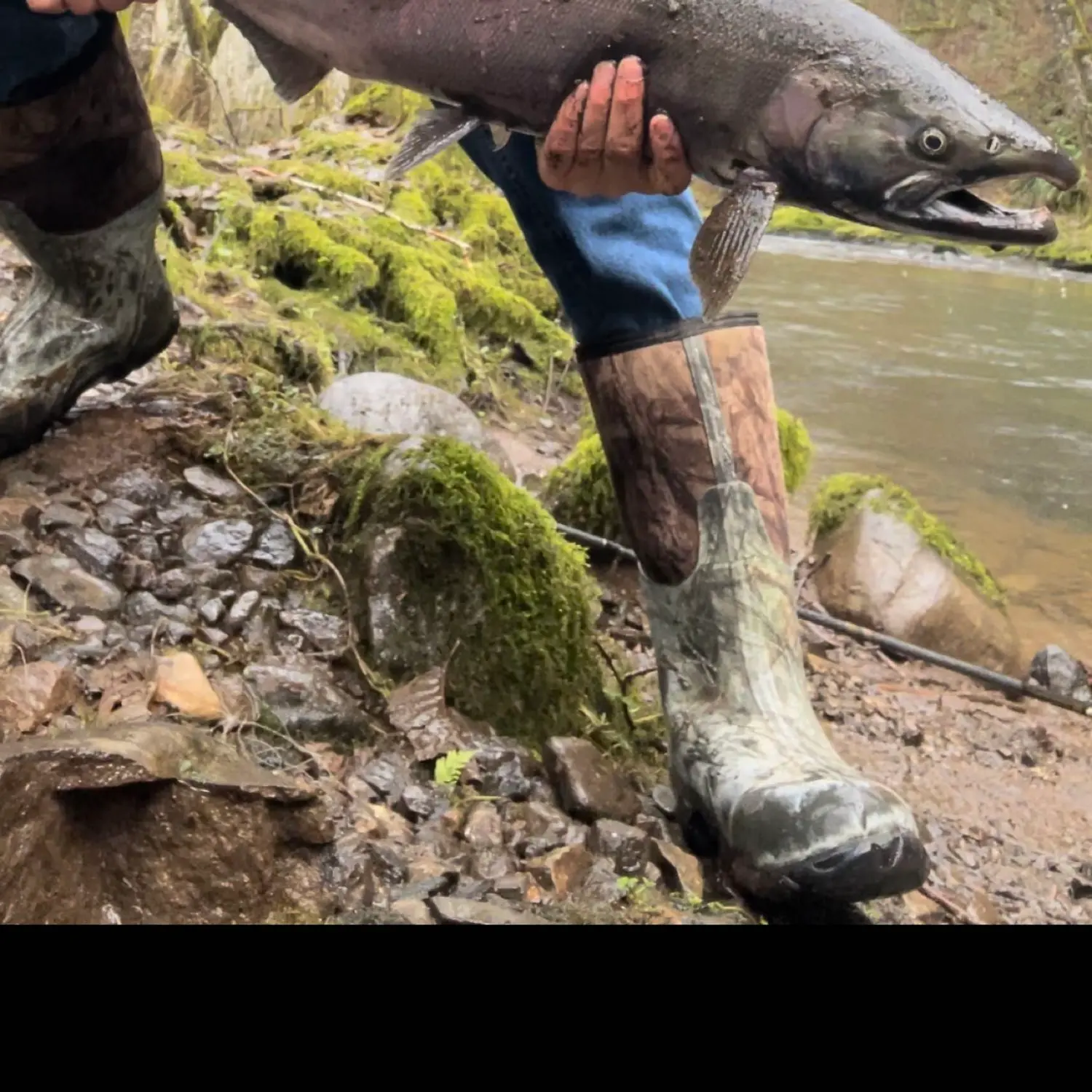 Trask River fishing reports Lincoln City OR United States