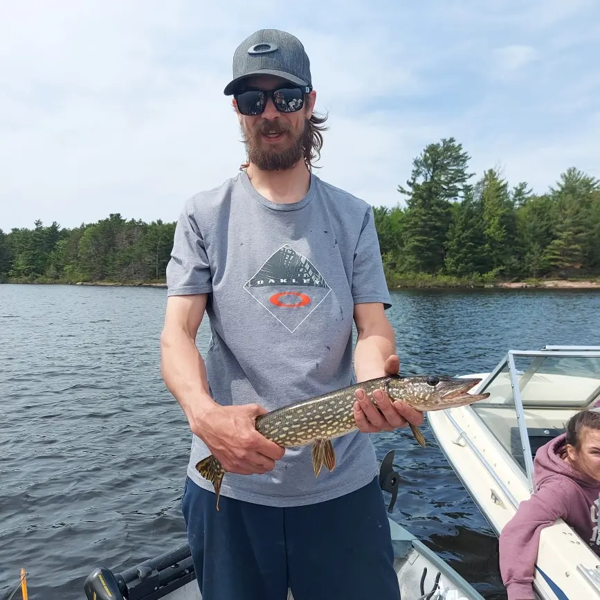 Fishing reports, best baits and forecast for fishing in North Muskrat Bay