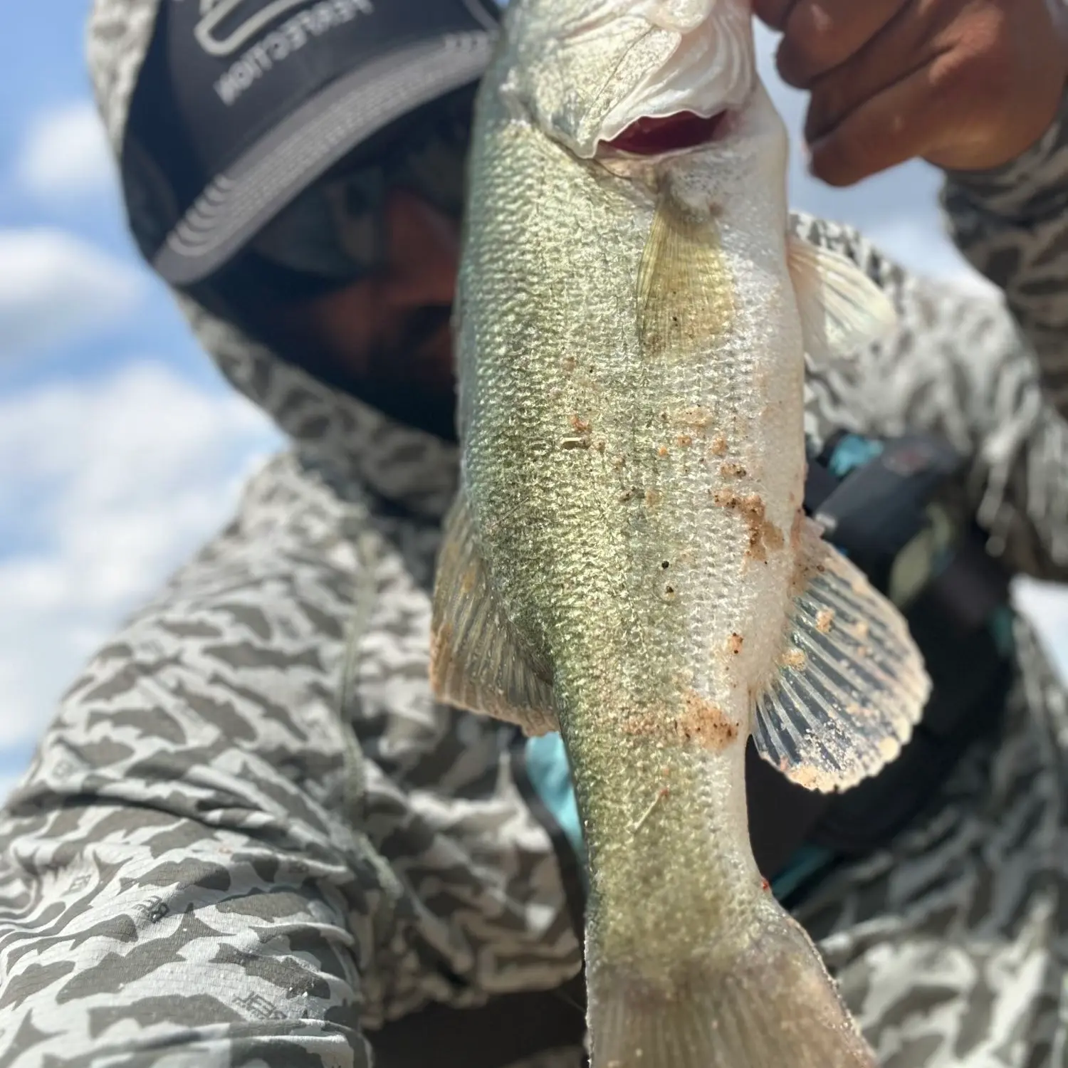 Fishing reports, best baits and forecast for fishing in Bryan Lake