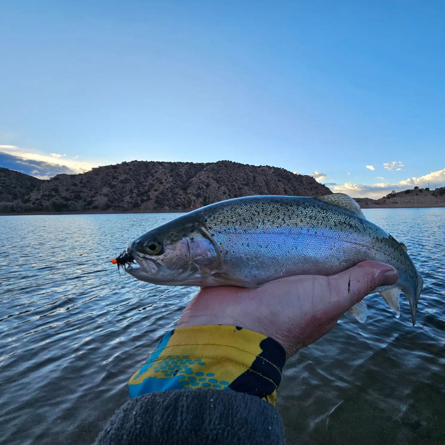 Santa Cruz Lake fishing reports Espa ola NM United States