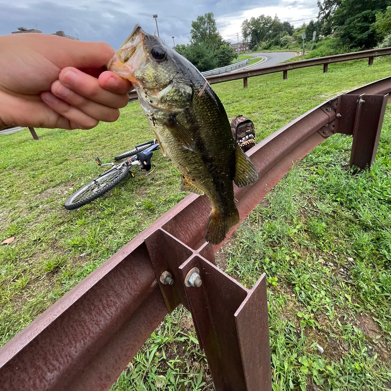 The Waterfront fishery