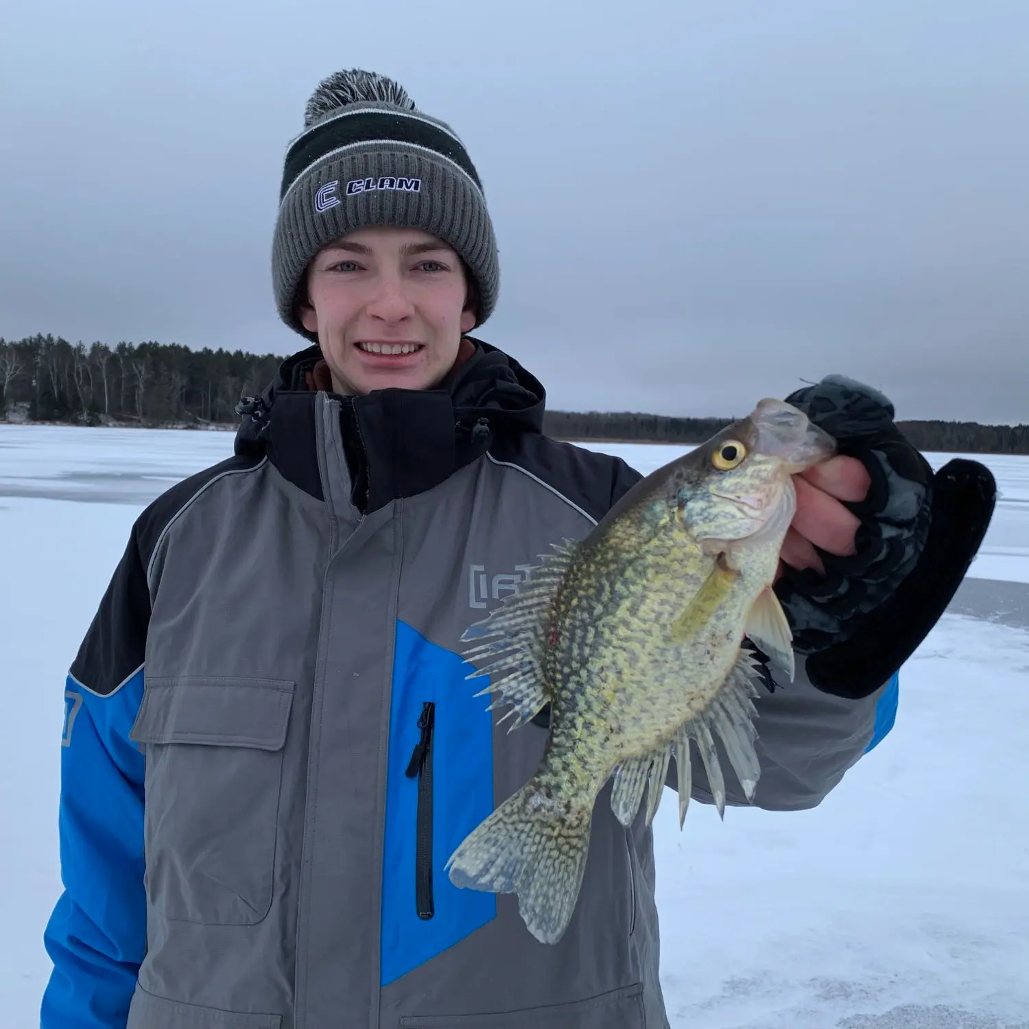 ᐅ Cass Lake fishing reports🎣• Bemidji, MN (United States) fishing