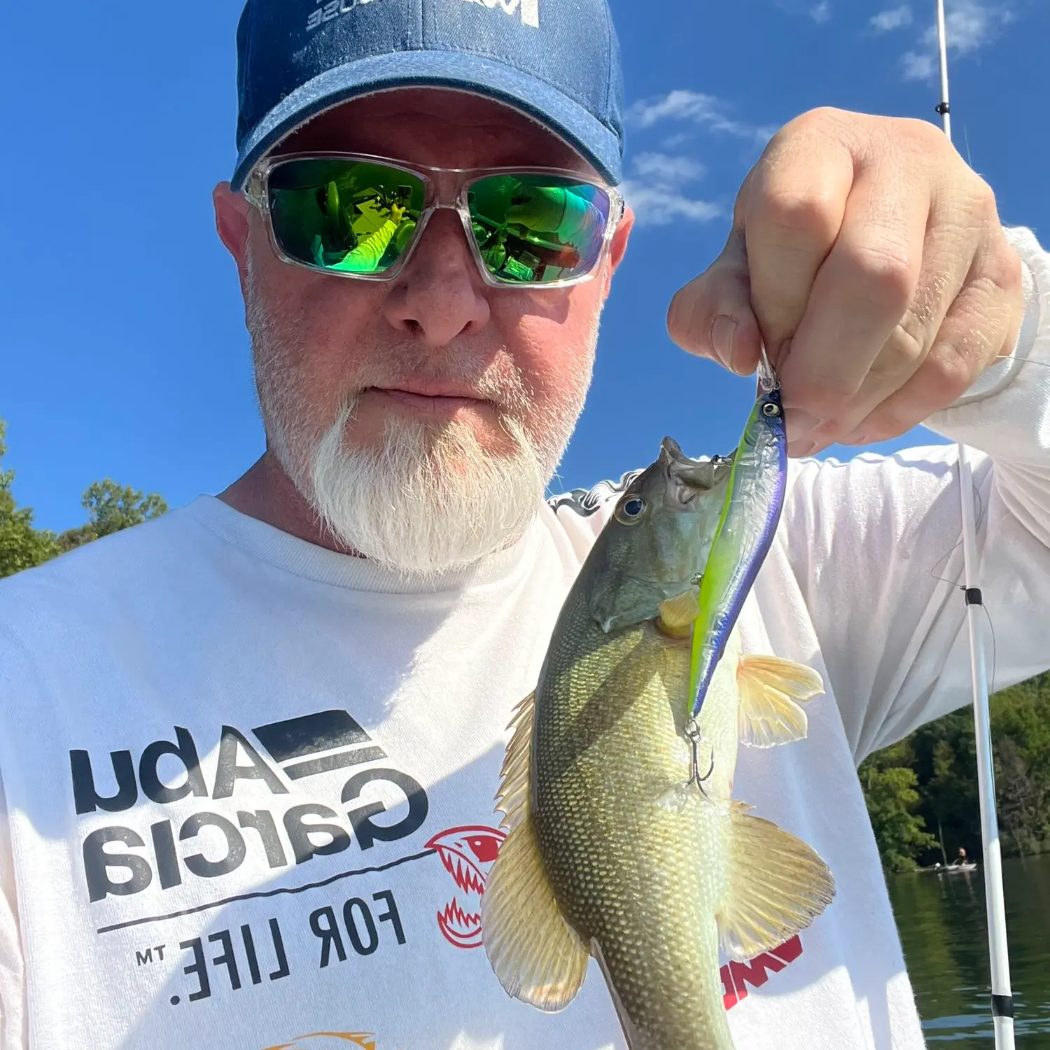 Fishing reports, best baits and forecast for fishing in Brookville Lake