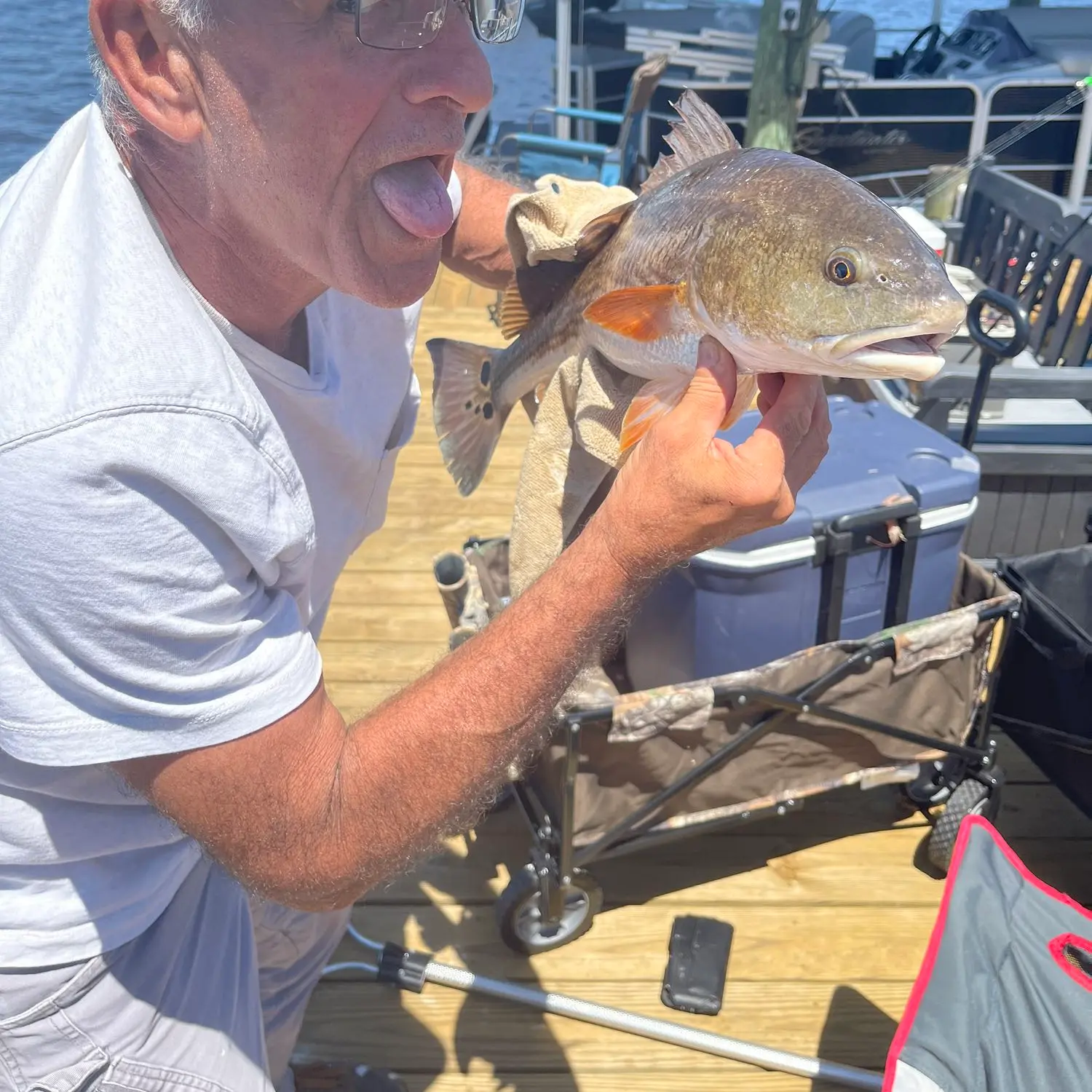 Doctor fish. Florida, USA : r/Fishing