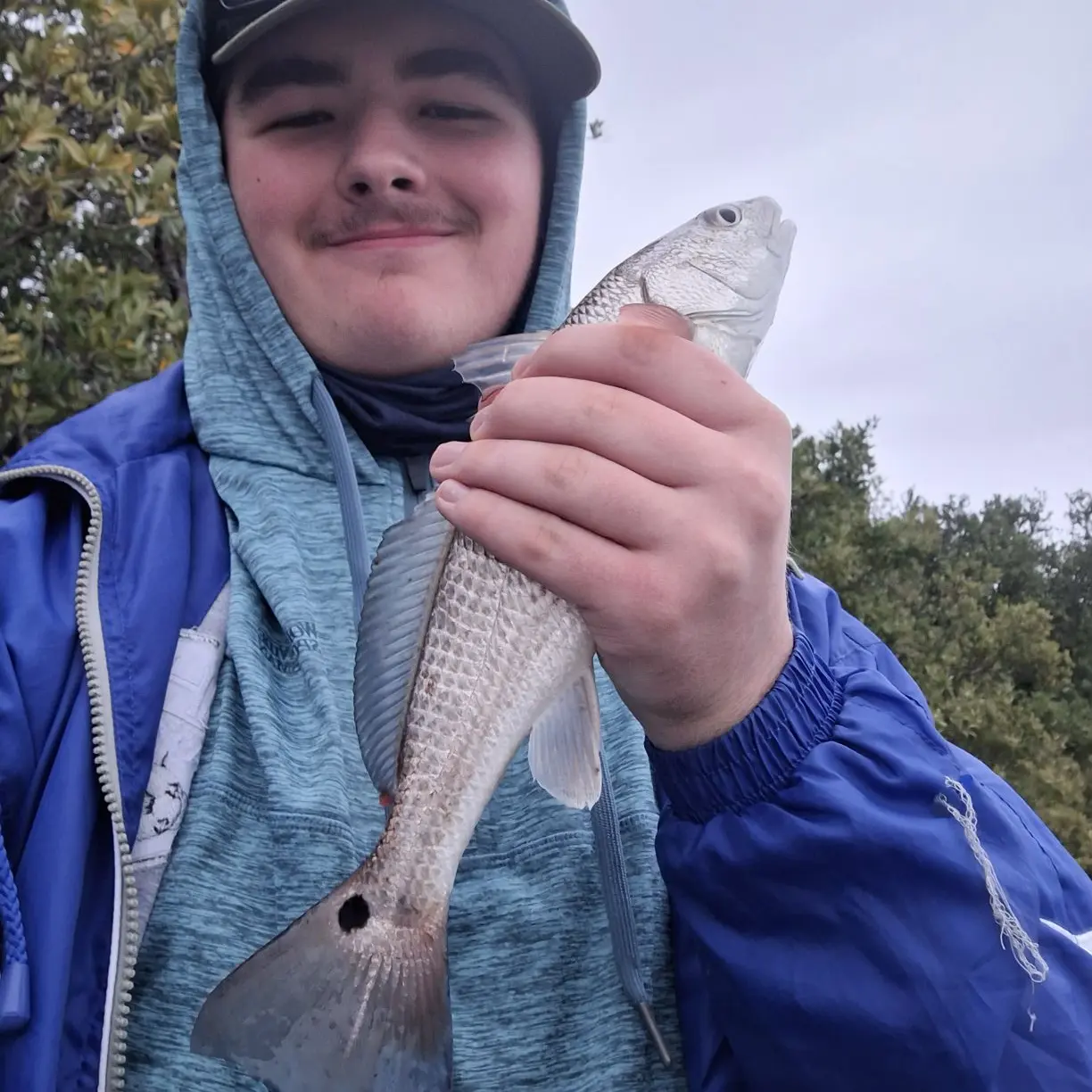 16+ Cedar Key Fishing Report