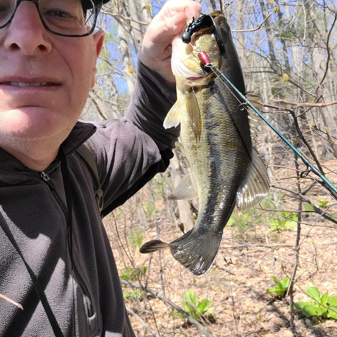 Beaumont Pond fishing report