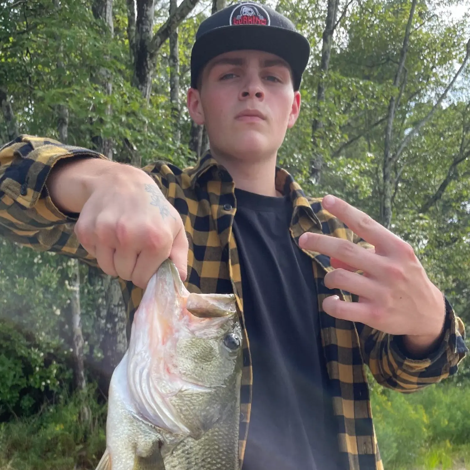 Fishing reports best baits and forecast for fishing in Trask Pond