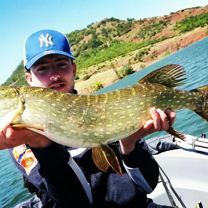 Roussillon Fishing