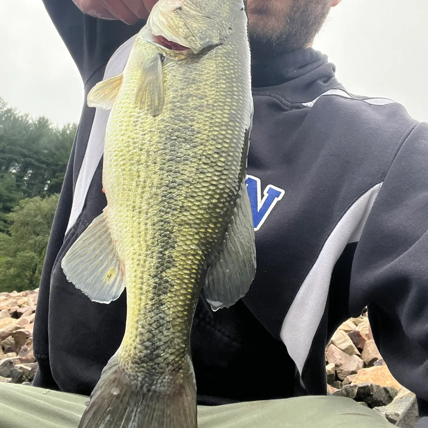 ᐅ Tioga Reservoir fishing reports🎣• Corning, PA (United States) fishing