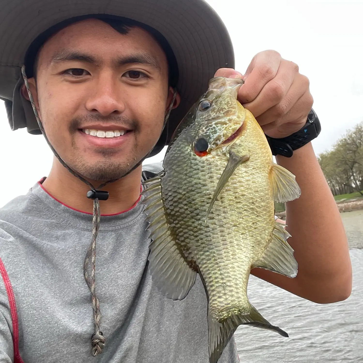 ᐅ JC Murphy Lake fishing reports🎣• Kankakee fishing