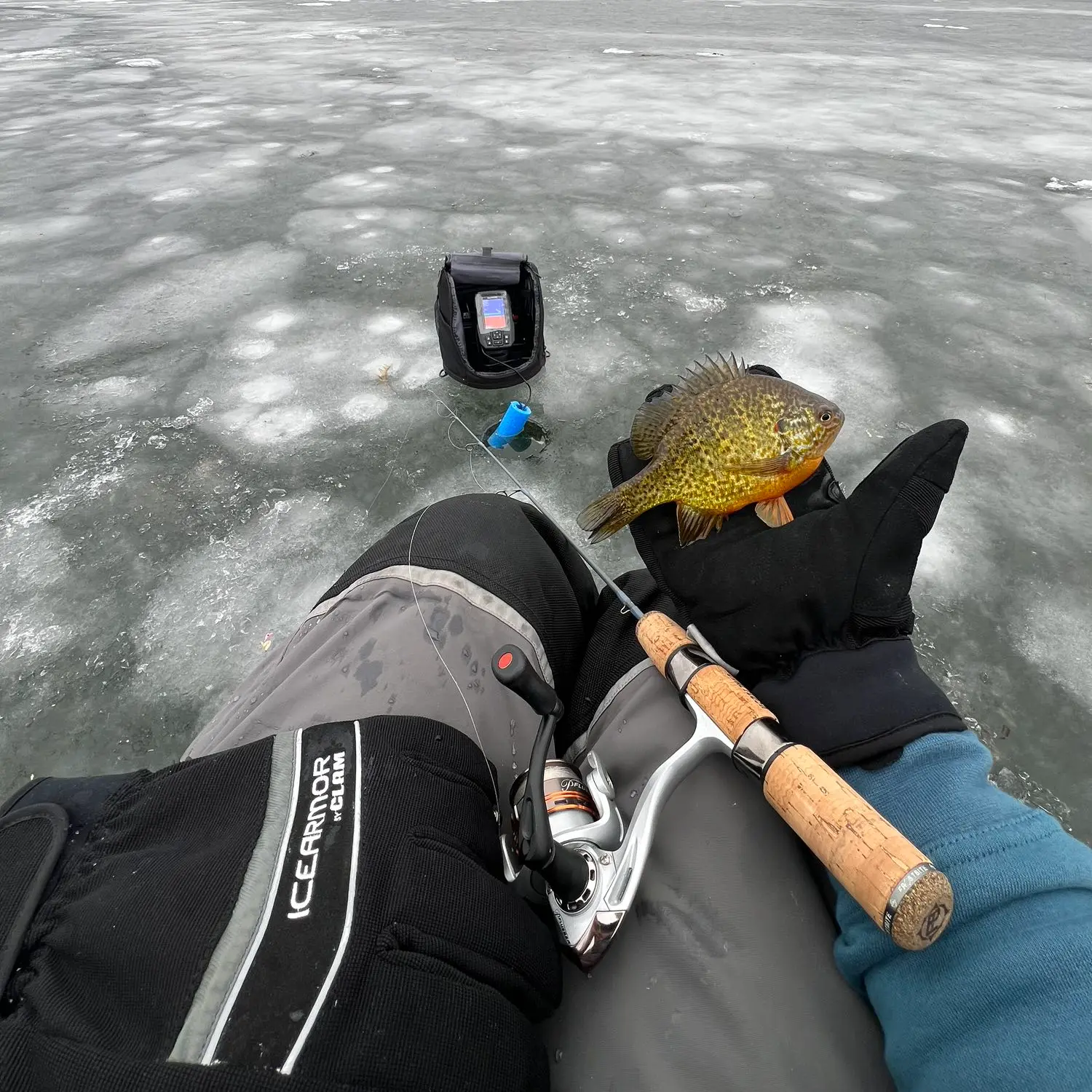 ᐅ Shawano Lake fishing reports🎣• Suamico, WI (United States) fishing