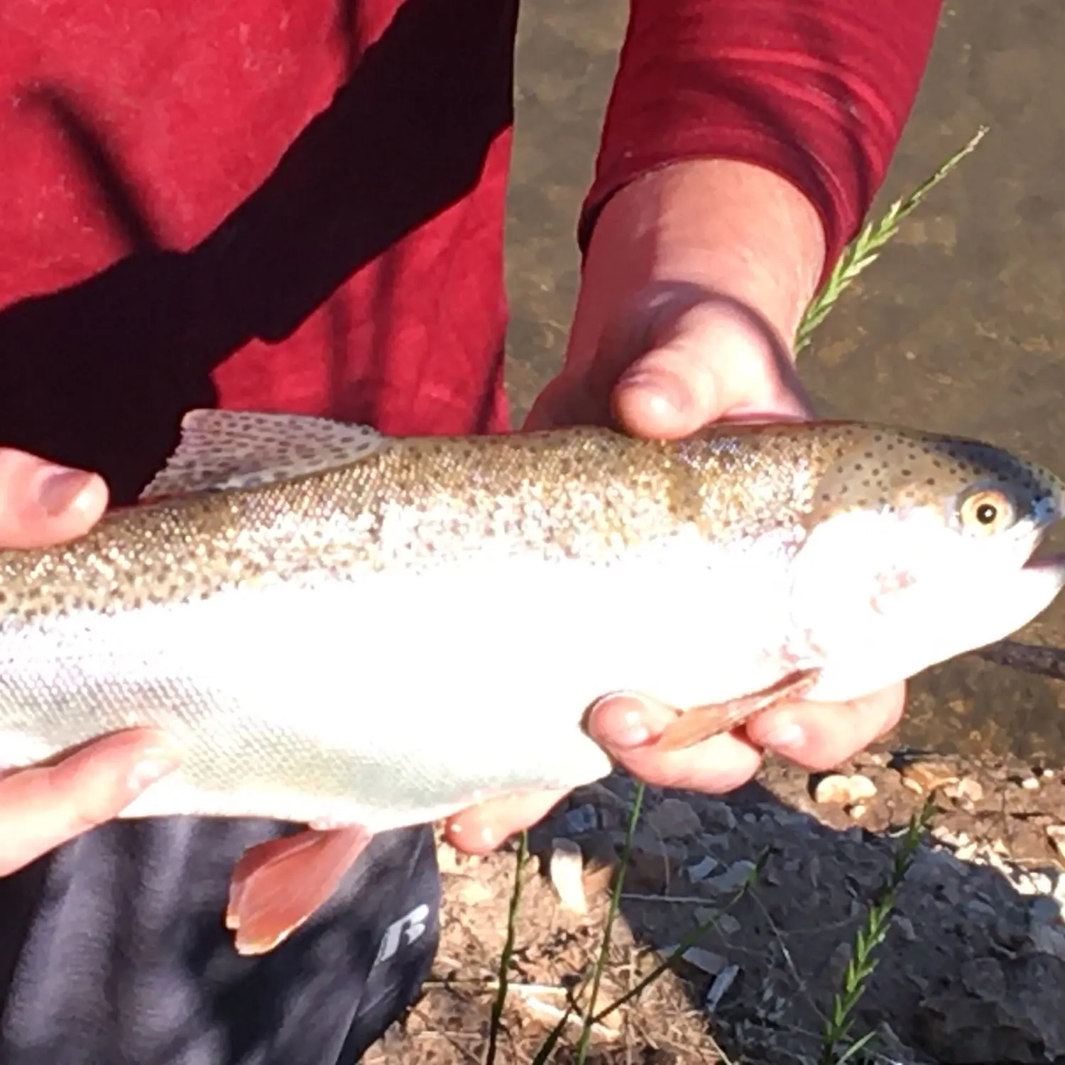 Lower Mountain Fork River Trout Area