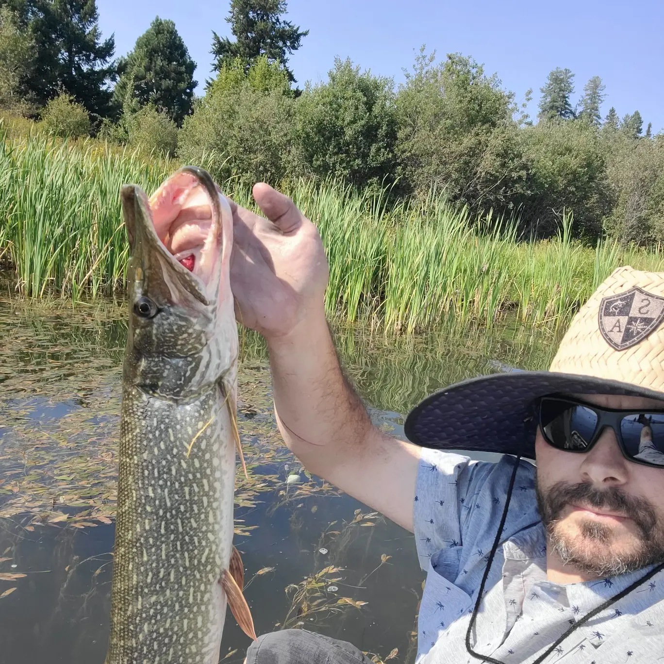 ᐅ Lake Pend Oreille fishing reports🎣• Sandpoint, ID (United States) fishing