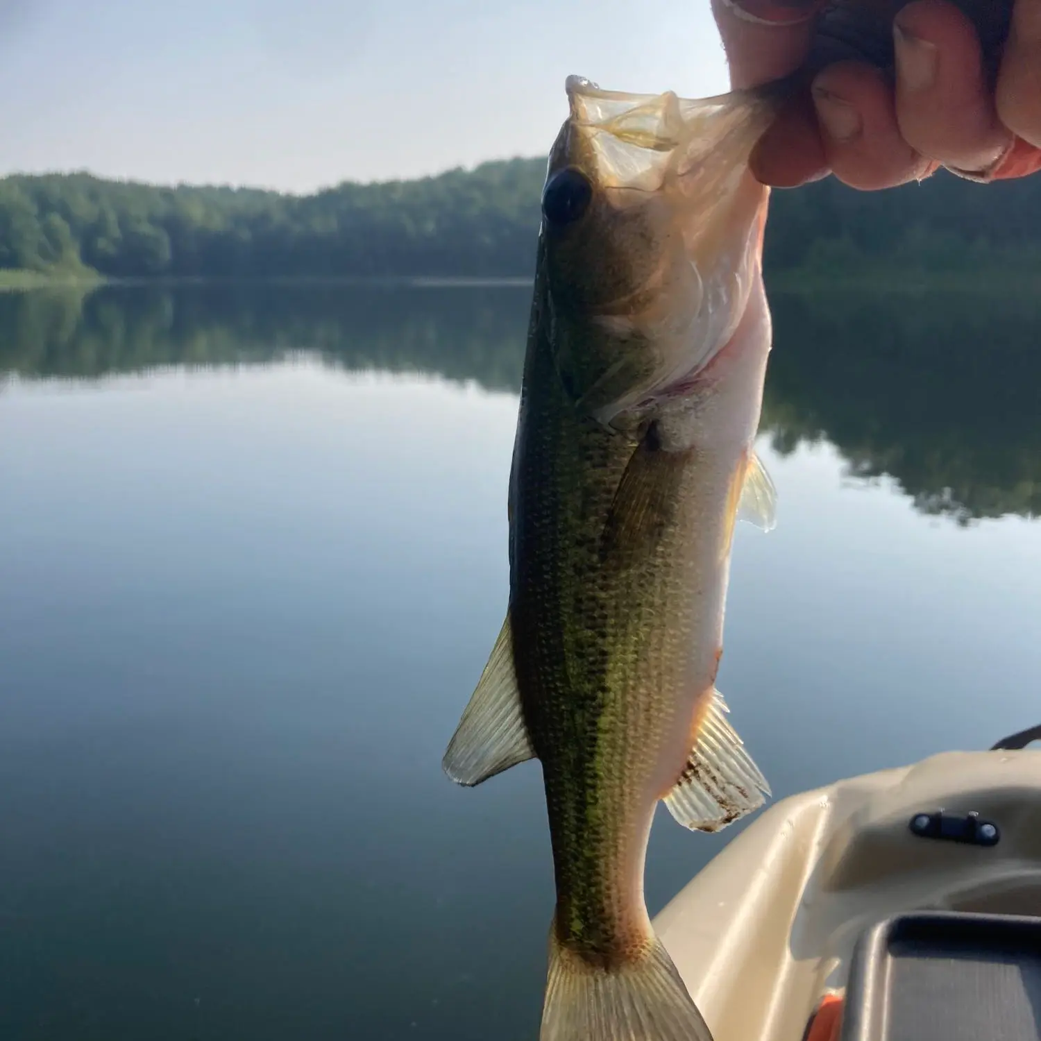 Fishing Reports Best Baits And Forecast For Fishing In Saddle Lake