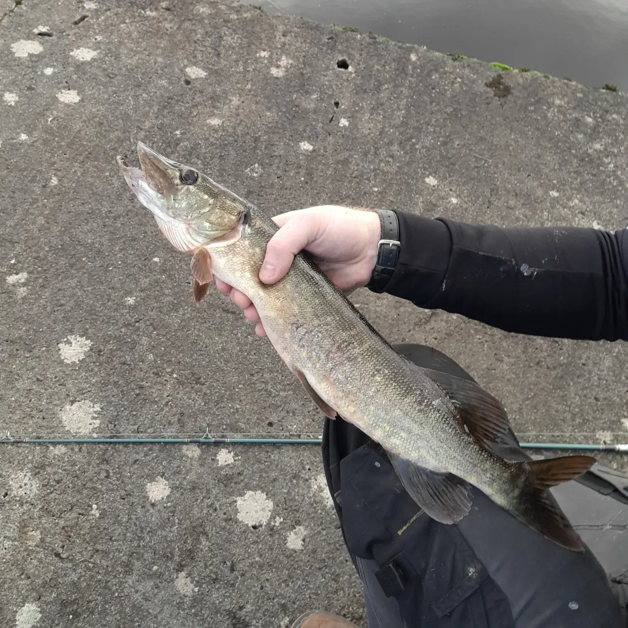 Lough Gill fishing report