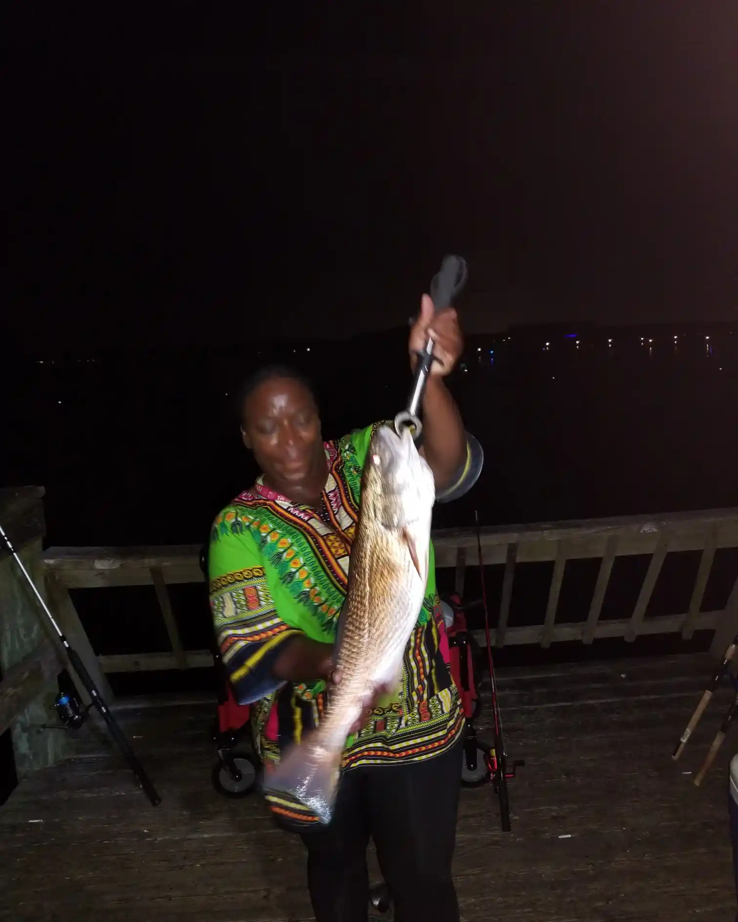 Doctor fish. Florida, USA : r/Fishing