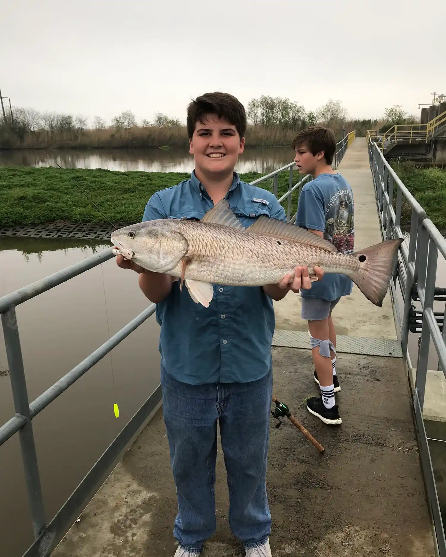 Fishing reports best baits and forecast for fishing in Beaumont Creek