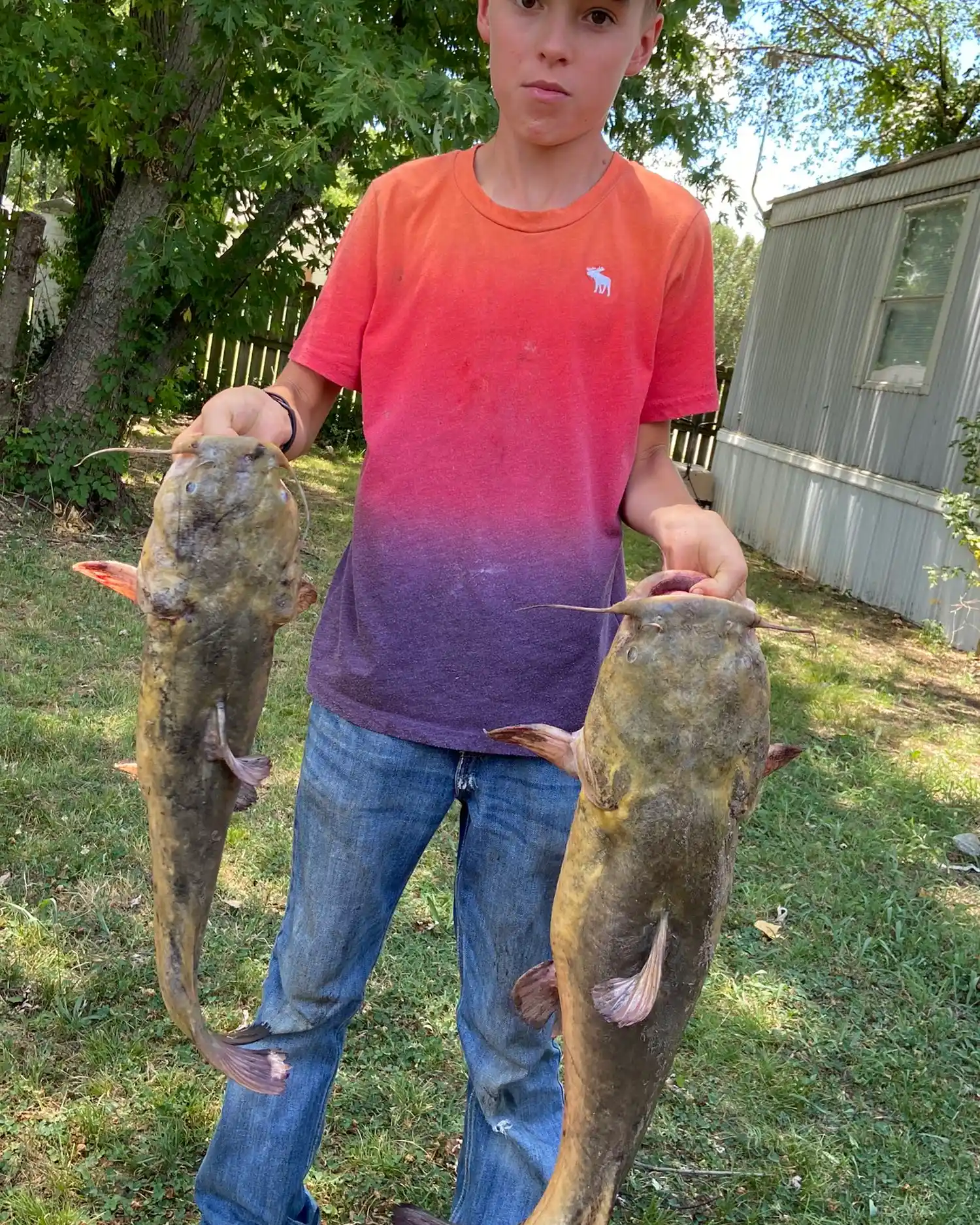 Giant flathead stories!  Catfish Angler Forum at USCA