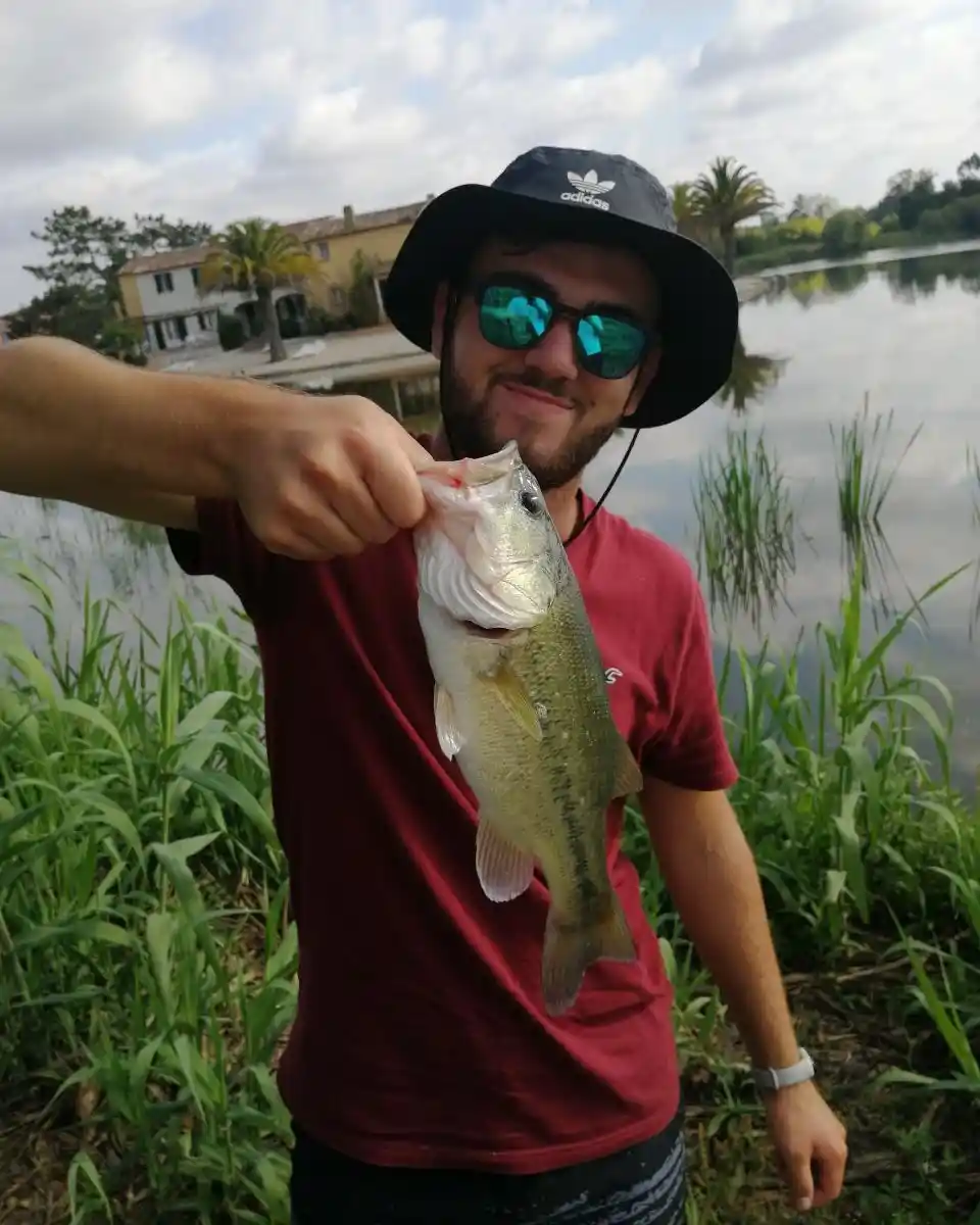 Fishing reports, best baits and forecast for fishing in Lagoa Feia