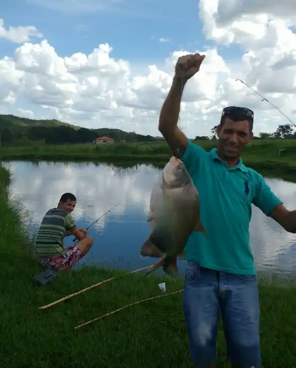 Fishing reports, best baits and forecast for fishing in Lagoa Feia