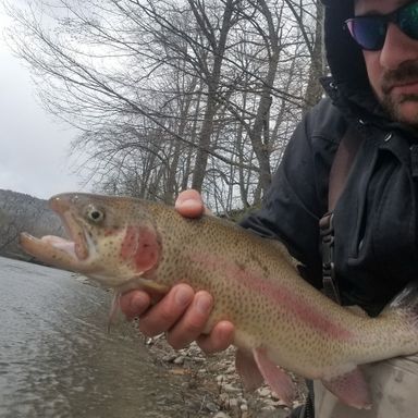 Catch from VTTrout