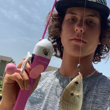 Catch from Rileysucksatfishing