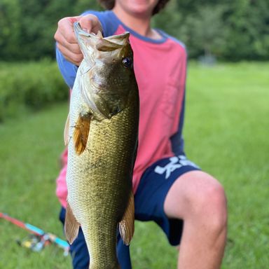 Catch from JPBassing101