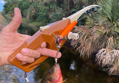 Redbreast tilapia