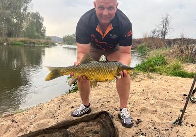 Smallmouth yellowfish