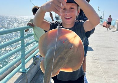 Thornback ray