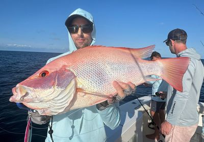 Malabar blood snapper