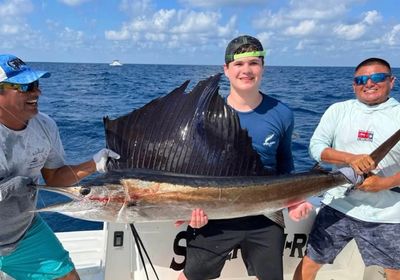 Atlantic sailfish