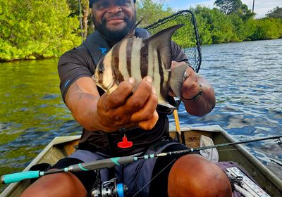 Atlantic spadefish