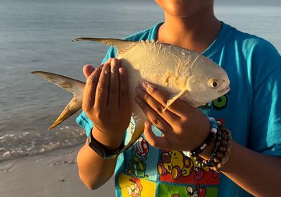 Snubnose pompano