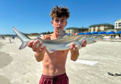 Dusky shark