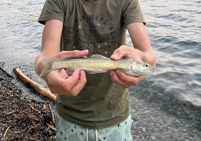 Lahontan cutthroat trout