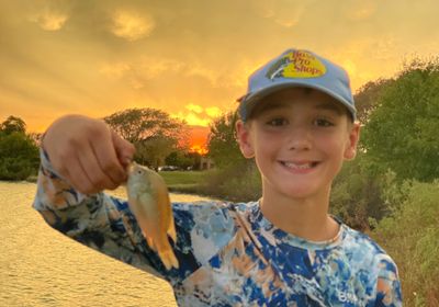 Plains longear sunfish