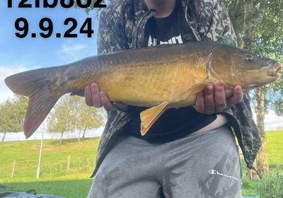 Leather carp