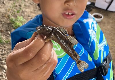 Prickly sculpin